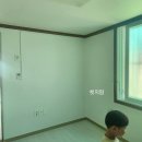 우리들약국 | 20240805-0811_일상