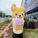 개냥이아울렛 이미지