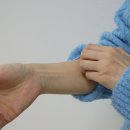 장미반점 스포츠동아