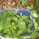 둔내농장 이미지