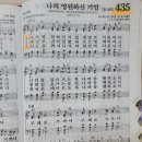 하신기 Daum카페