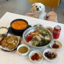 마을n사람 | 속초 애견동반 식당 실내 강아지 전용룸 N번째 방문 후기