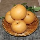 자연대로 이미지