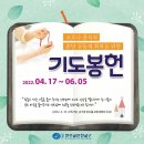 (4.17~6.5)"코로나극복과 본당공동체 회복" 묵주기도 참여 이미지