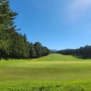 오라골프존 이미지