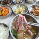 퐝물회 이미지