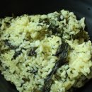 곤드레향 이미지