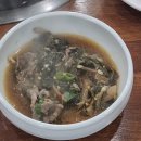 백토미가 이미지