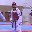 무도태권도 이미지