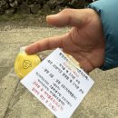 프리마 | 제주 애월 / 애월 두쫀쿠 ‘ 봉성프리마 &amp; 포커스온 사진관 ’ 오픈런후기