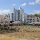 운천저수지 이미지