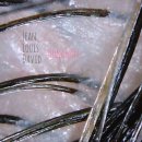 정원미용실 이미지