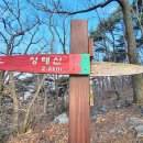 2025년3월30일 백월산(575m) /충남 청양 이미지