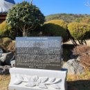 향기나무 이미지