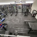 아폴로휘트니스 이미지