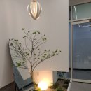 나비드헤어 이미지