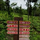 대기점 선착장 이미지