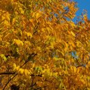 장말어린이공원 이미지