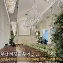 센텀파크2차 앞(14) | 부산 웨딩홀 투어 ㅣ 센텀 사이언스파크웨딩홀과 벡스코웨딩홀 25년 하반기 견적 공유