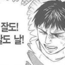 올리브 바닐라 이미지