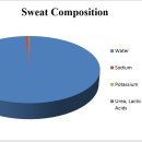 수동사우나 이미지