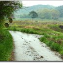 상록수도서관 이미지