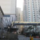엘파인