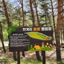 한계2리재내마을 이미지