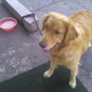 김태화동물병원 이미지