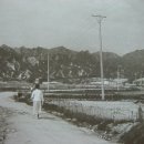 도리원가든 이미지