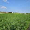 동읍스카이공인중개사사무소 이미지