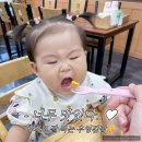 향비 | 동학사 맛집 추천 공주향 비빔국수 솔직후기