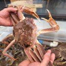 울산전복킹 이미지