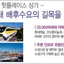 미르메디칼 이미지