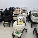 로얄펫 | 강아지유모차오프라인 로얄테일즈 아발론 비교 &amp; 최저가구매후기 <펫랜드 부천점>