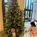 돈카츠박사 코다리와탕수육 | 🎄✨ “인천 파라다이스시티 호텔 크리스마스 분위기… 사진 200장 찍고 온 후기!”