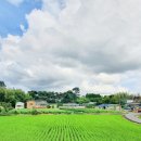 풀빛향기송정마을 이미지