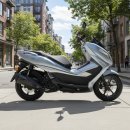 태백모터스 이미지