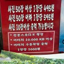양천칼라현상소 네이버블로그