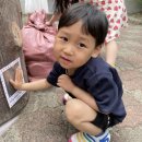 동그라미유치원 놀이터 이미지