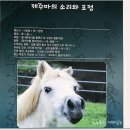 의귀리농촌체험휴양마을 이미지