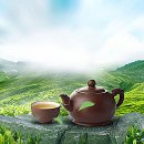 사랑으로 이미지