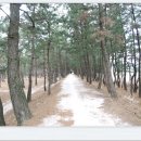 괴시리 전통마을 이미지