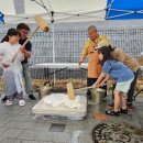 경상북도교육청김천오토캠핑장 이미지