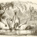 동화속역사이야기1 이미지