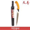 천수