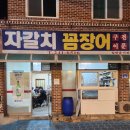 창원 합포성지 | [맛집/경남 창원 마산합포구] 이끌리듯 들어간 산호동 꼼장어 성지 '자갈치꼼장어' (내돈내산)