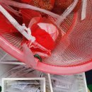 솔길농장 이미지