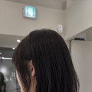 엠브하우스(EMB)