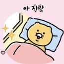 느림보일지라도